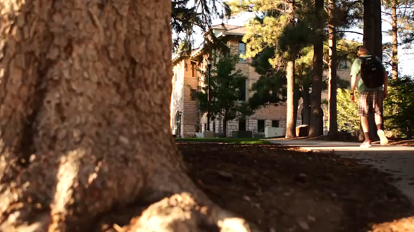 Bienvenidos